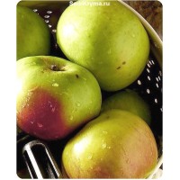 Как ускорить рост саженцев яблонь: советы опытных садоводов